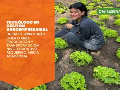 miniatura del curso