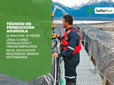 miniatura del curso